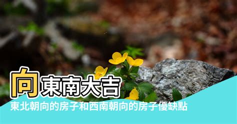 房子面東北|【面東北的房子】面東北的房子：優缺點大解析，讓你。